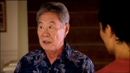 Hawaii Five 0 (Hindi)  - Season 01 Episode 20